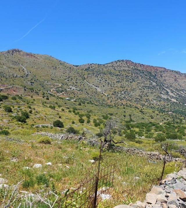 oikopedomaro4000m2pinesplaka4.jpg
