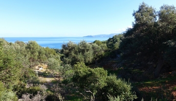AMPL6740 – 4100m² Land with superb sea view in Ammoudara, Agios Nikolaos