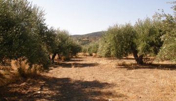 BPM4532 – 1205 m2 Plot of Land in Mardati, Agios Nikolaos.
